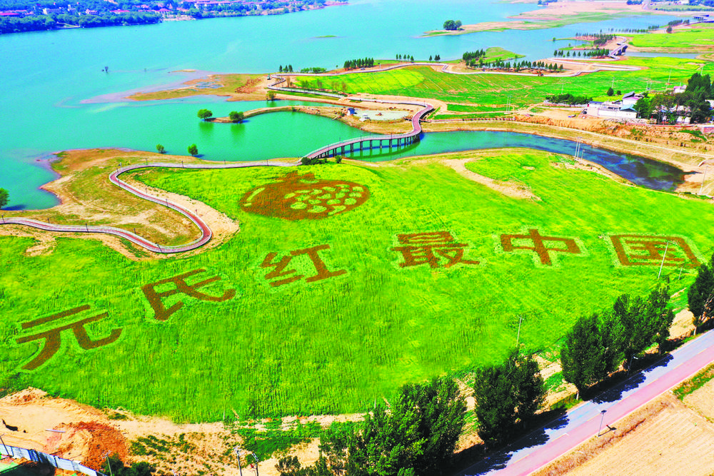 ​深挖油菜种植潜力描绘田园新景  市农科院打造休闲观光农业产业园